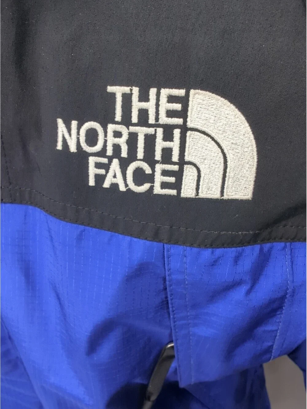 Vintage 90s The North Face Gore-Tex Ski Jacket Gorpcore Mens Small Hood Shell Bl